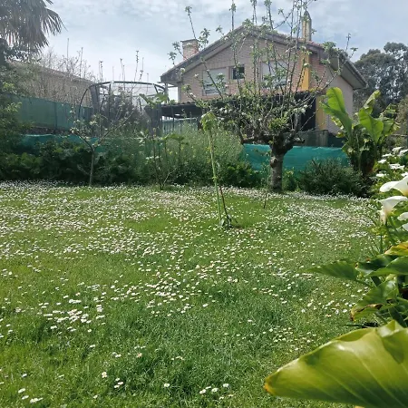 Marlada Playa De Vv2510as بو دي يانيس